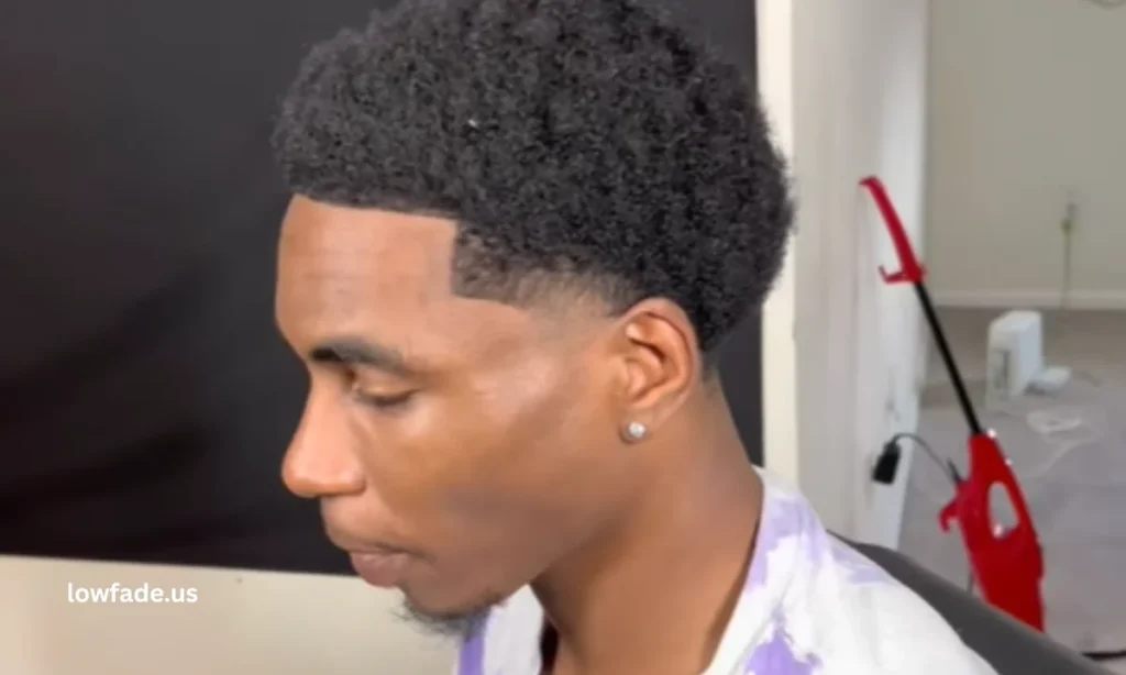 Afro Low Taper Fade Black Male