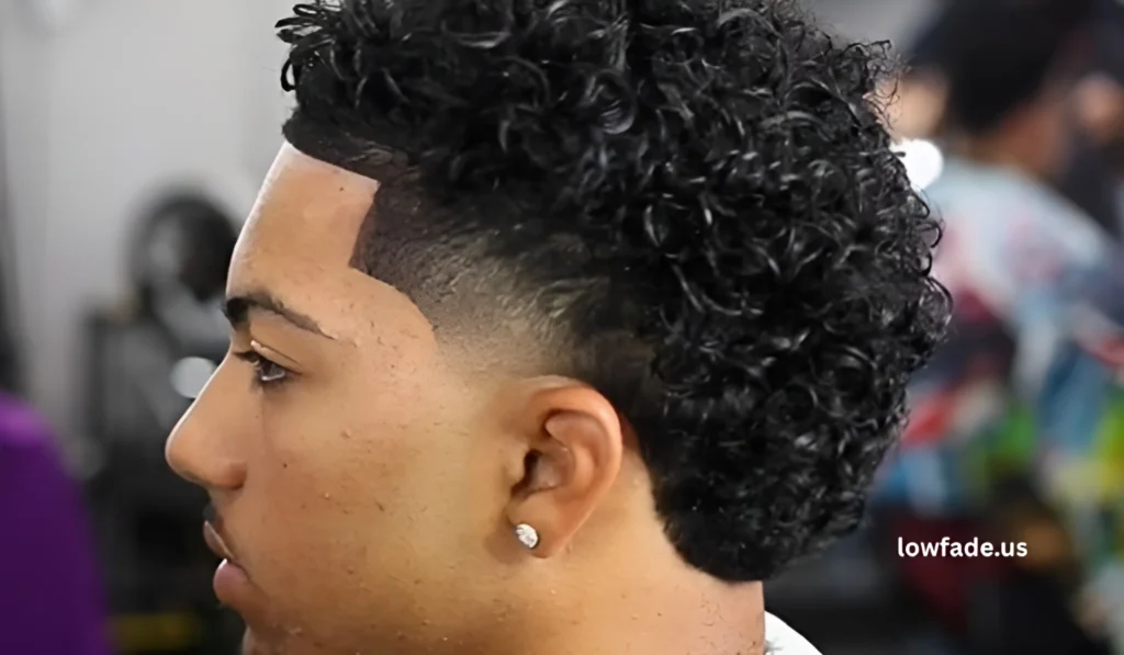Low taper fade curly hair men