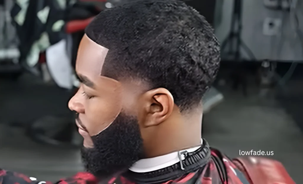 afro blowout low taper fade curly hair