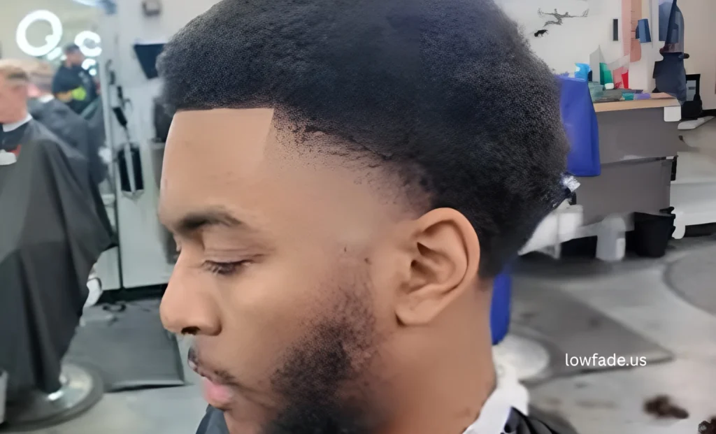 low fade taper fade afro with twist