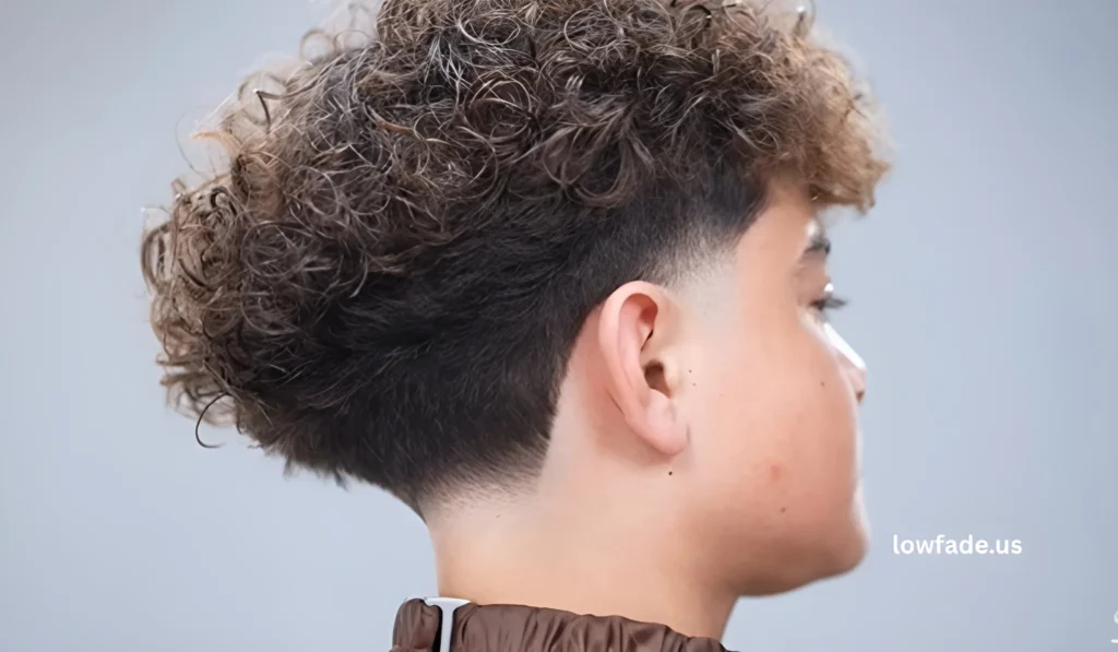low taper fade curly hair black