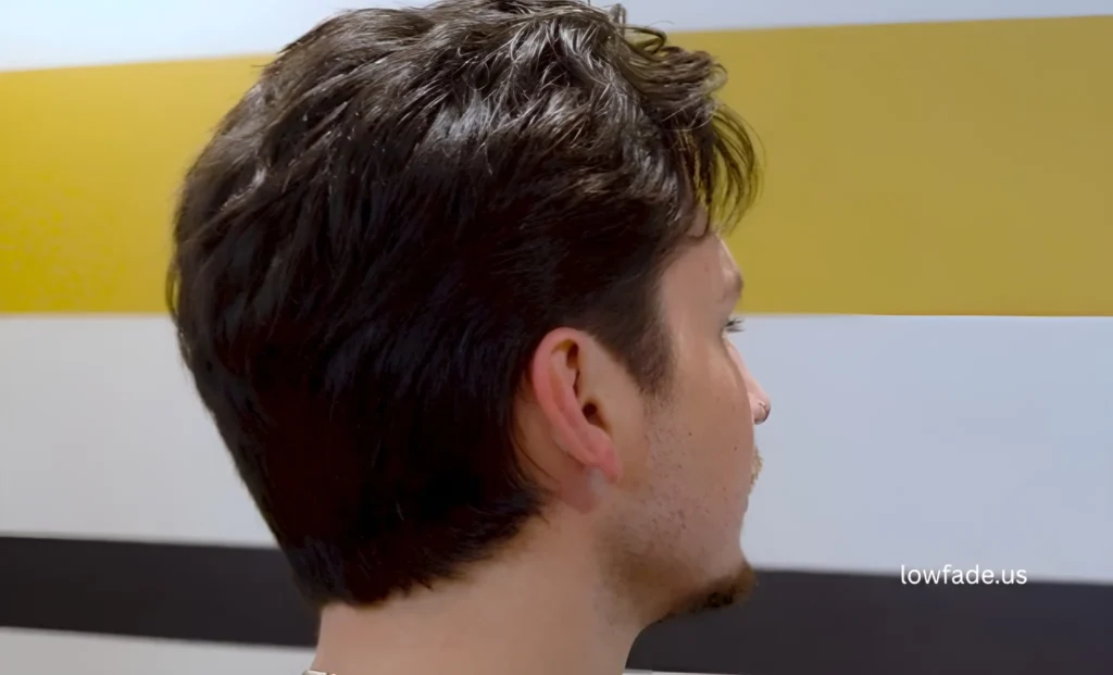 low taper fade straight fluffy hair